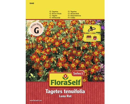 Tagetes 'Luna Rot' FloraSelf Select samenfestes Saatgut Blumensamen-0