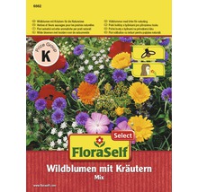 Blumenwiesensamen FloraSelf Wildblumen mit Kräutern für Naturwiese samenfestes Saatgut-thumb-0