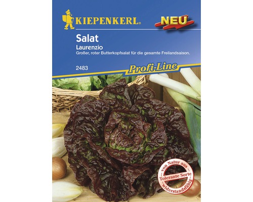 Salat 'Laurenio' Kiepenkerl Salatsamen