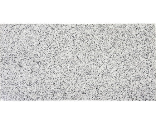 Granit Wand- und Bodenfliese Palace grau 30,5 x 61 cm poliert-0