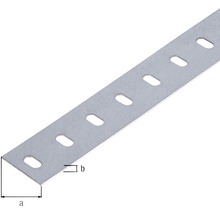 Conceptor Flachstange gelocht verzinkt 35x1 mm, 1m-thumb-1