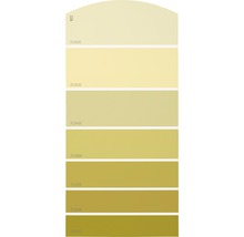 Farbmusterkarte Farbtonkarte B22 Farbwelt gelb 21x10 cm-thumb-0