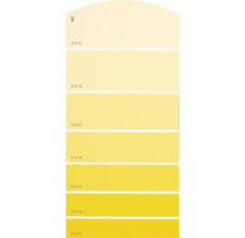 Farbmusterkarte Farbtonkarte B05 Farbwelt gelb 21x10 cm-thumb-0
