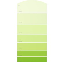 Farbmusterkarte Farbtonkarte G05 Farbwelt grün 21x10 cm-thumb-0
