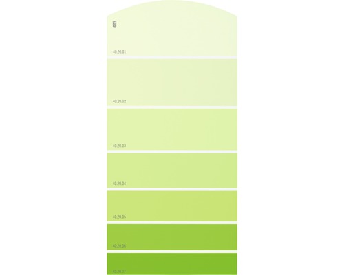 Farbmusterkarte Farbtonkarte G05 Farbwelt grün 21x10 cm
