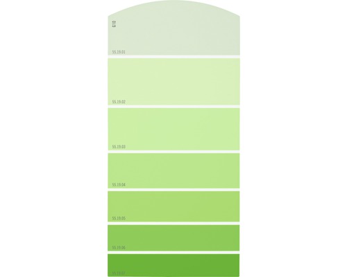 Farbmusterkarte Farbtonkarte G10 Farbwelt grün 21x10 cm