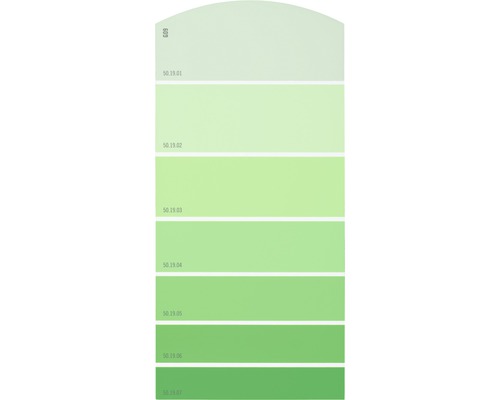 Farbmusterkarte Farbtonkarte G09 Farbwelt grün 21x10 cm-0