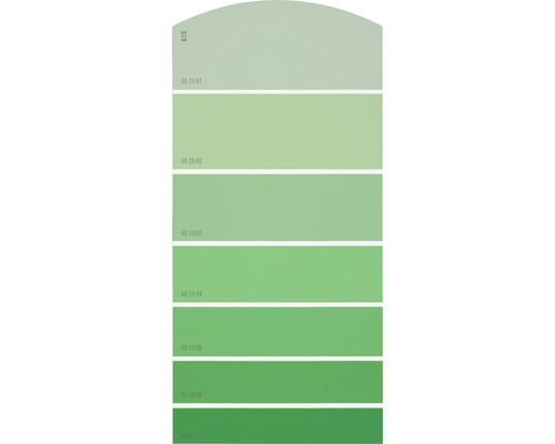 Farbmusterkarte Farbtonkarte G15 Farbwelt grün 21x10 cm