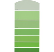 Farbmusterkarte Farbtonkarte G16 Farbwelt grün 21x10 cm-thumb-0
