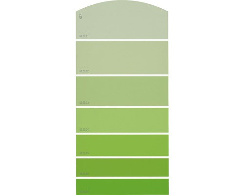 Farbmusterkarte Farbtonkarte G17 Farbwelt grün 21x10 cm