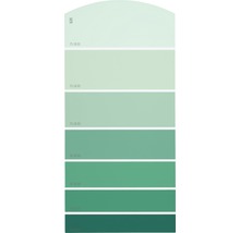 Farbmusterkarte Farbtonkarte G20 Farbwelt grün 21x10 cm-thumb-0