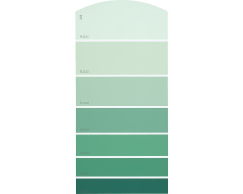 Farbmusterkarte Farbtonkarte G20 Farbwelt grün 21x10 cm