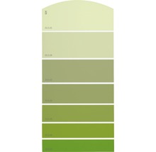 Farbmusterkarte Farbtonkarte G24 Farbwelt grün 21x10 cm-thumb-0