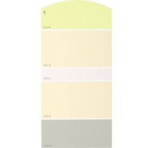 Farbmusterkarte Farbtonkarte J04 Farben für Körper, Geist & Seele - wohltuend & heilend 21x10 cm-thumb-0