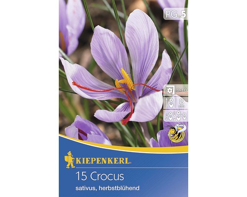 Blumenzwiebel Krokus Crocus sativus-0