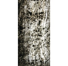 Echtstein Glimmerschiefer SlateLite hauchdünn 1,5 mm Mare 120x240 cm-thumb-2