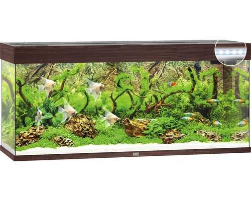 Aquarium JUWEL Rio 240 mit LED-Beleuchtung, Pumpe, Filter, Heizer ohne Unterschrank dunkles Holz