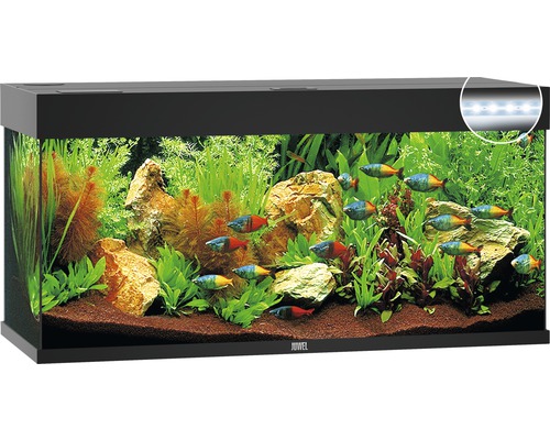 Aquarium JUWEL Rio 240 mit LED-Beleuchtung, Pumpe, Filter, Heizer ohne Unterschrank schwarz