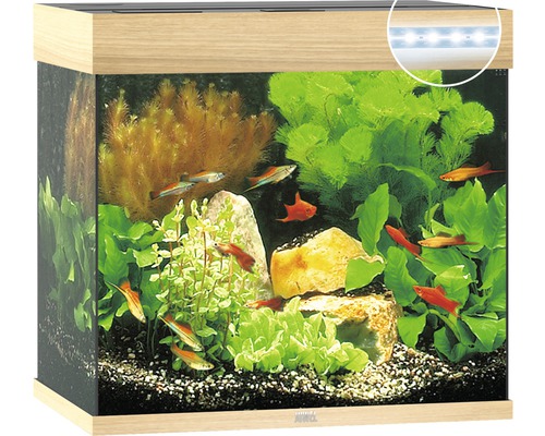 Aquarium JUWEL Lido 120 mit LED-Beleuchtung, Pumpe, Filter, Heizer ohne Unterschrank helles Holz