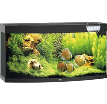Aquarium JUWEL Vision 260 mit LED-Beleuchtung, Heizer, Filter ohne Unterschrank schwarz-thumb-1