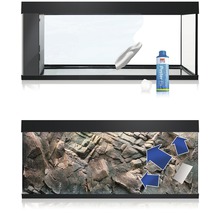 Rückwandposter JUWEL Pflanzen/Felsen 150x60 cm-thumb-5