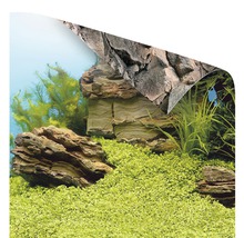 Rückwandposter JUWEL Pflanzen/Felsen 150x60 cm-thumb-4