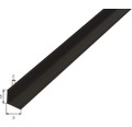 Winkelprofil Kunststoff schwarz 30x30x2 mm, 1 m