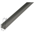 U-Profil Aluminium silber eloxiert 20x18x20x1,3 mm, 2 m