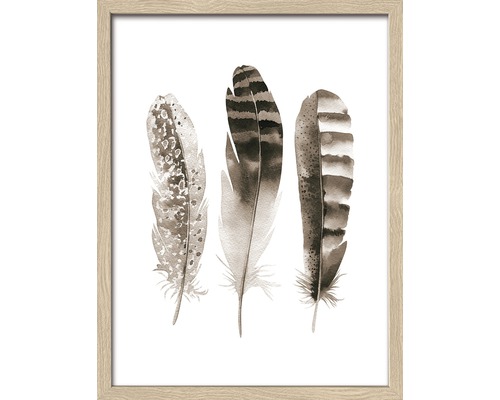 Gerahmtes Bild Brown Feathers 33x43 cm-0