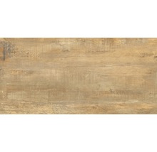 Feinsteinzeug Wand- und Bodenfliese Wald miele 31 x 62 cm-thumb-4