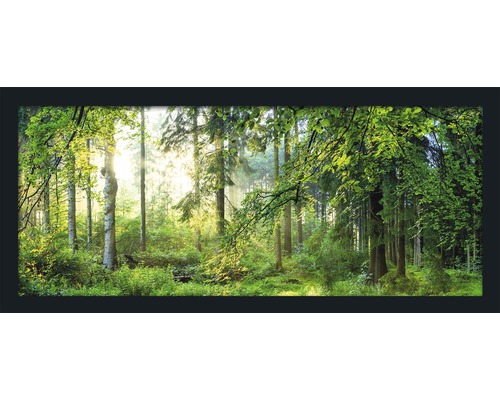 Gerahmtes Bild Forest Harmony 130x60 cm-0