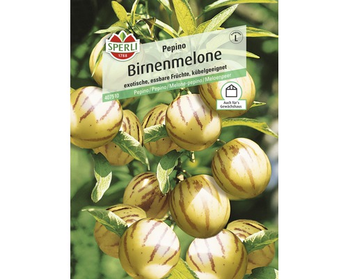 Birnenmelone 'Pepino' Sperli Gemüsesamen