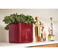Blumentopf Lechuza Cube Glossy Kunststoff 14x14x14 cm rot inkl. Erdbewässerungsystem und Pflanzeinsatz
