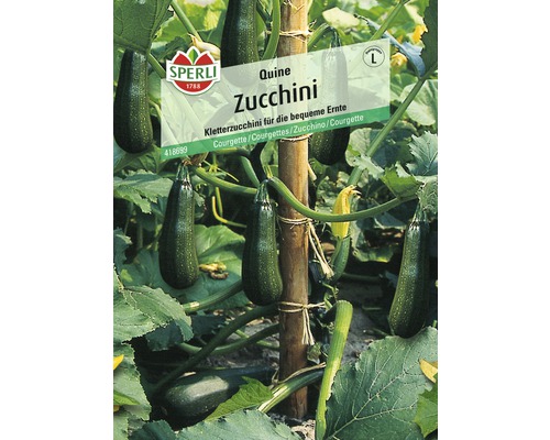 Zucchini 'Quine' Sperli Gemüsesamen