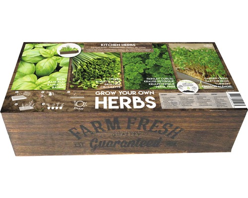 Grow-Box XL *Farm Fresh Kräuter' Anzuchtkiste inkl. Kräuter Saatgut und Anzuchterde 39,5x19,5x12 cm