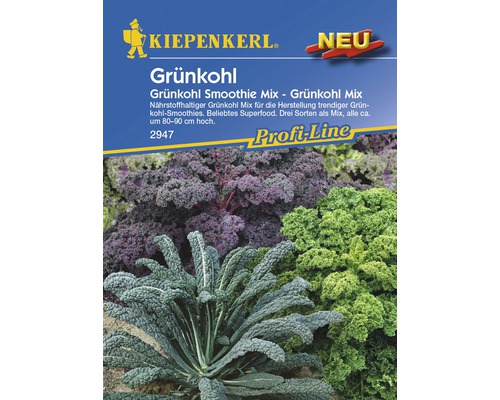Grünkohl Kiepenkerl 'Smothie Mix' Gemüsesamen