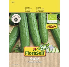 Bio Gurke 'Marketmore' FloraSelf Bio samenfestes Saatgut Gemüsesamen-thumb-0