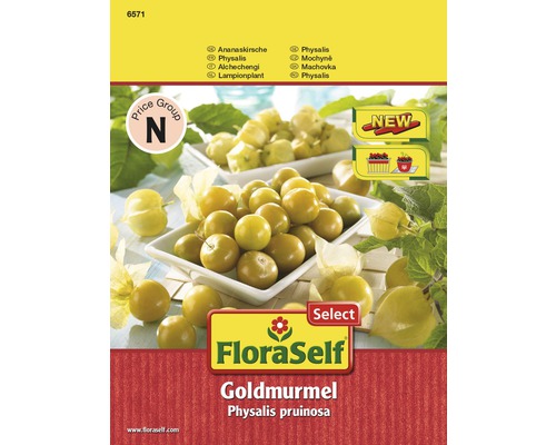 Ananaskirsche, Physalis FloraSelf Select pruinosa 'Goldmurmel' Gemüsesamen