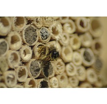 Insektenhotel Rustikal mit Astschindeln 29 x 14 x 43 cm-thumb-4