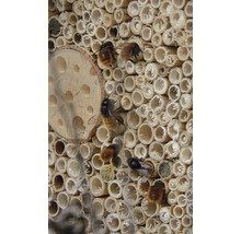 Insektenhotel mit Spitzdach 19 x 9,5 x 22 cm braun-thumb-1
