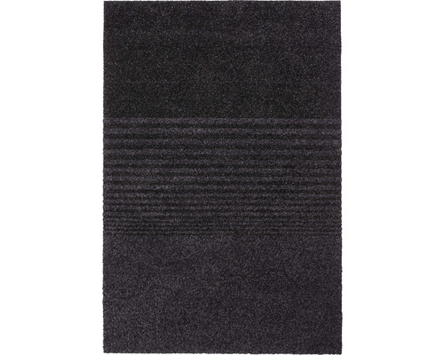 Fußmatte Schmutzfangmatte Triplebrush schwarz 90x133 cm-0