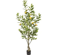 Kunstpflanze Zitronenbaum H 180 cm-thumb-0