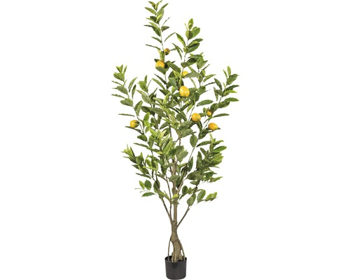 Kunstpflanze Zitronenbaum H 180 cm-0