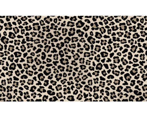 Fußmatte Schmutzfangmatte Safari beige 67x120 cm-0