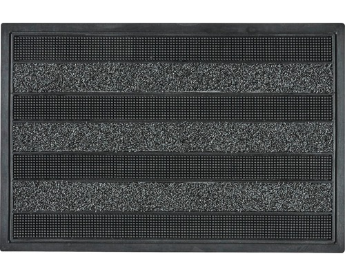 Fußmatte SchmutzfangmatteCactus anthrazit 45x75 cm