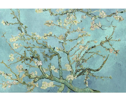 Poster Van Gogh Bloesem 61x91,5 cm-0