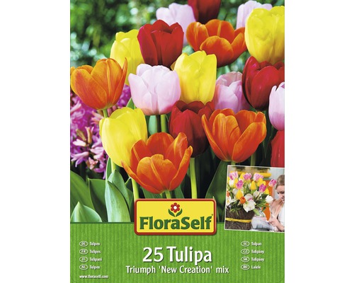 Blumenzwiebel-Vorteilspack Tulpen New Creation Mischung 25 Stk.-0