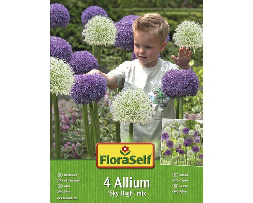 Blumenzwiebel-Vorteilspack Allium Sky High Mischung 4 Stk.-0