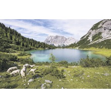Fototapete Vlies Stefan Hefele Ed. 1 Paradise Lake 4-tlg. 400 x 250 cm-thumb-0