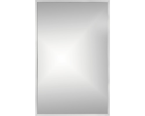 Spiegel ALU 65 x 100 cm silver
